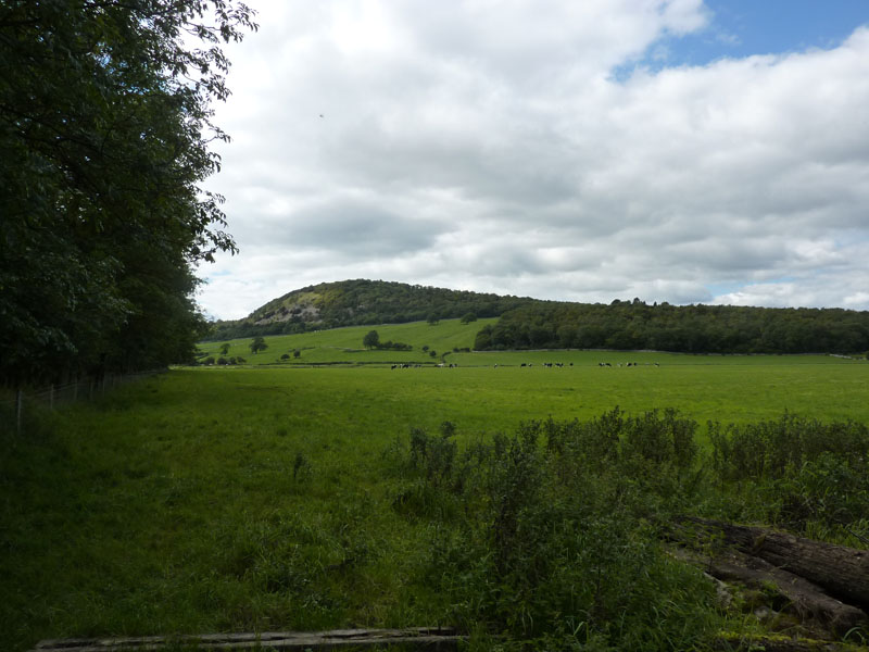 Arnside Knott